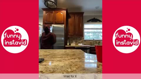 LANCE STEWART TikTok Videos 2020 | Lance Stewart Vine Compilation (W/Titles) - Funny InstaVID