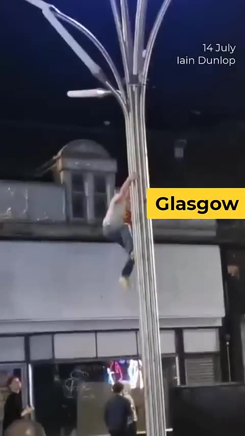 Man scales streat light to free seagull