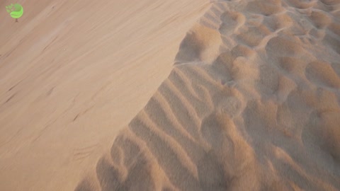 Walking on the edge of a sand dune in desertic landscape