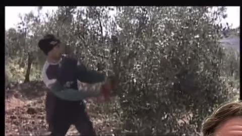 See how much he cares about his trees?