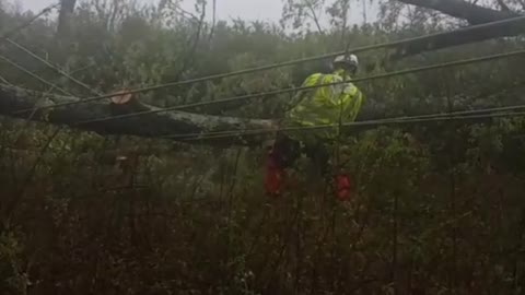 Power Line Throws Log like a Twig