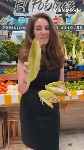 MEXICO HAS BANNED ALL CORN FROM THE USA 🌽