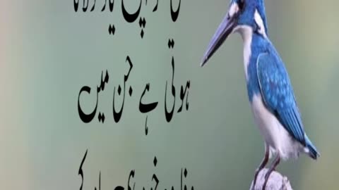 Urdu quotes