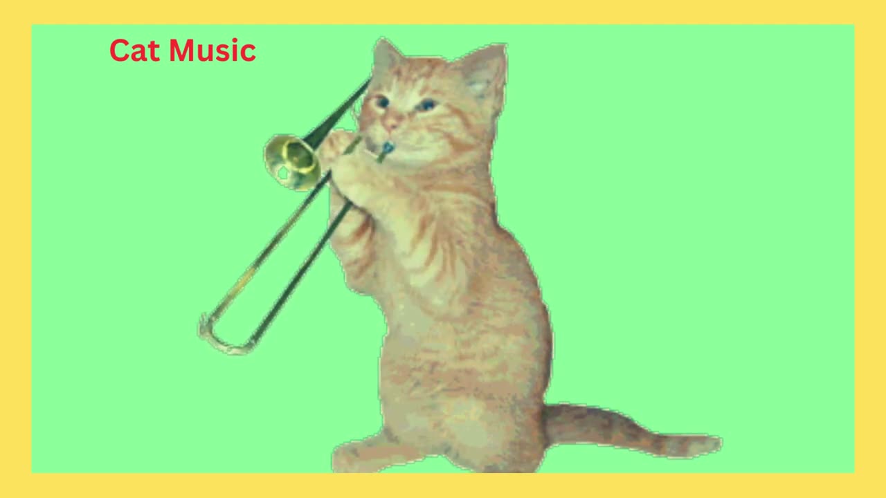 Cat Music