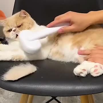 It’s the comb i want