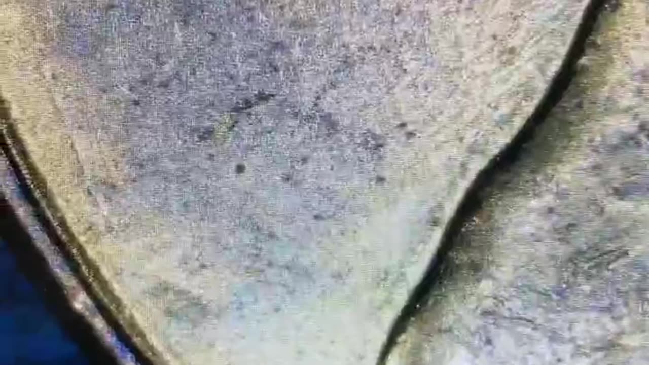 DDO FOUND!!! Doubled Die Variety 1958-D!!