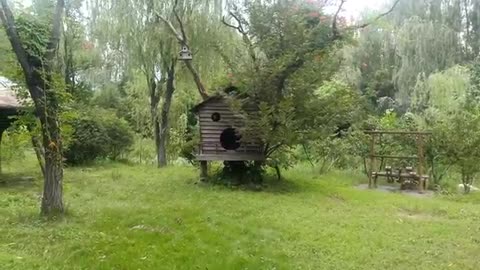 It's weird that this house is stuck in a tree.