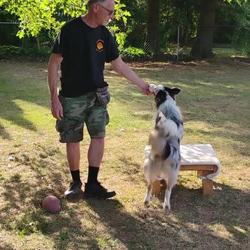 Structured Play Games Training and Practice b