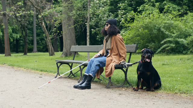 | Rottweiler protecting has owner who is blind |