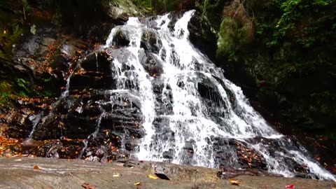 Cascade