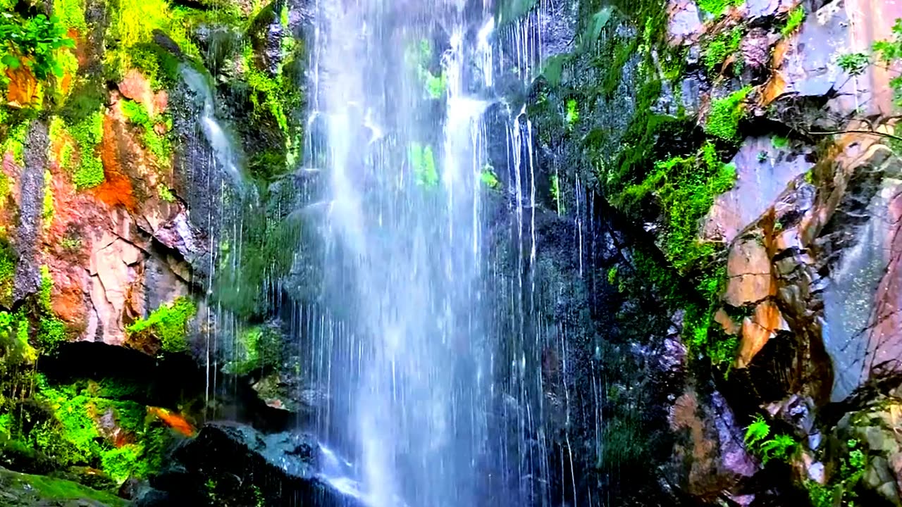 Relaxing Nature and relaxing Music || Nature Discovery........#nature #relax #relaxing #shortvideo