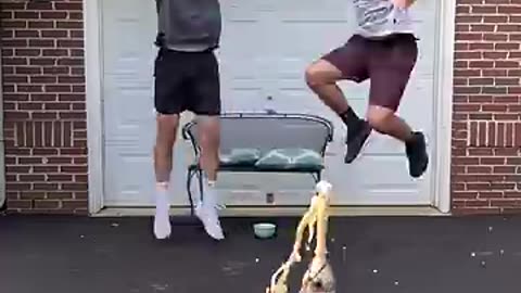 Trick Shots