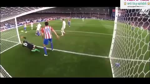 Crazy Funny Sports is the most funny moments