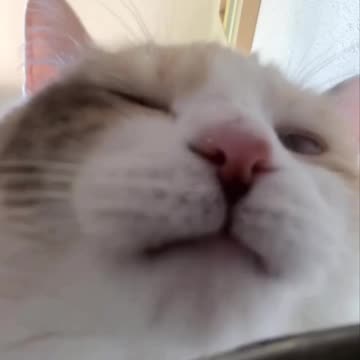 Watch out for flying milk shrapnel 🤣🤣🤣