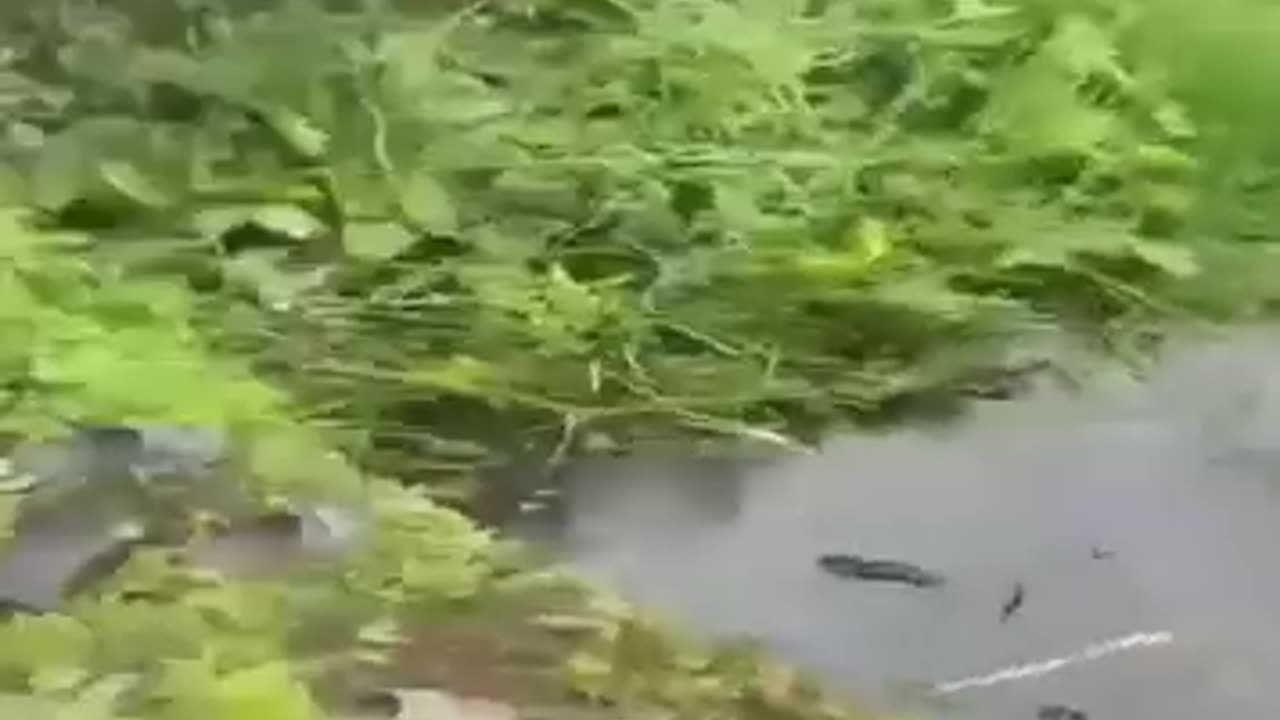 Accident happened