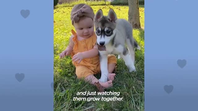 Baby Girl With Baby Husky Grows Up