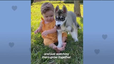 Baby Girl With Baby Husky Grows Up