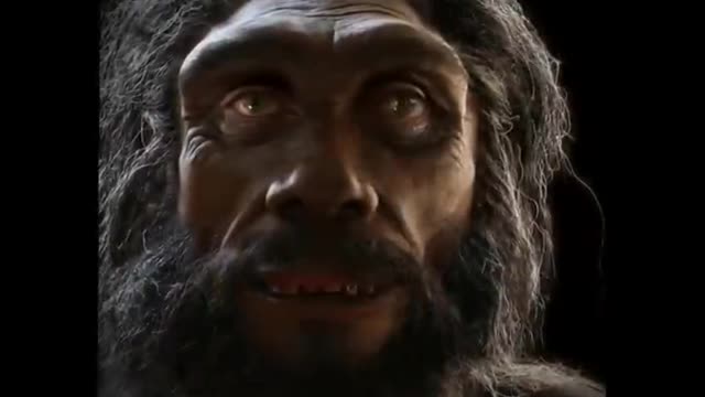 HOW HUMAN BEING COME OUT FROM APES