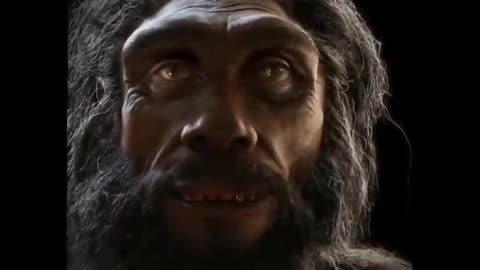 HOW HUMAN BEING COME OUT FROM APES