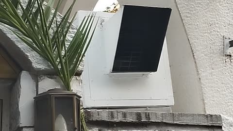 ΑΠΟΡΡΟΦΗΤΗΡΑ ΓΙΑ ΤΑ ΚΕΡΙΑ ΓΙΑΤΙ ΦΟΒΟΥΝΤΑΙ ΤΗ ΦΩΤΙΑ - ΤΙΣ ΑΣΕΒΕΙΕΣ ΠΟΥ ΚΑΝΟΥΝ ΔΕΝ ΤΙΣ ΦΟΒΟΥΝΤΑΙ