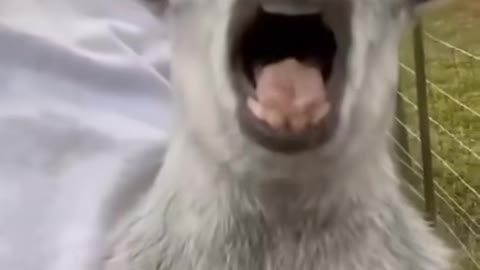 это смешно