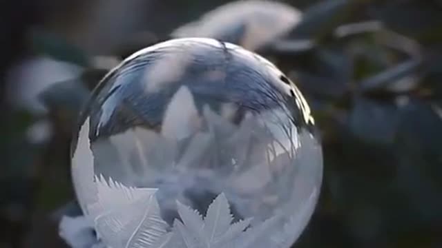 Bubble freezing