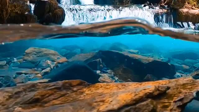 Nature | beautiful sea video | short | natures view