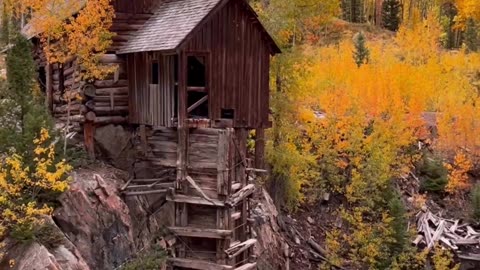 Beauty of Fall