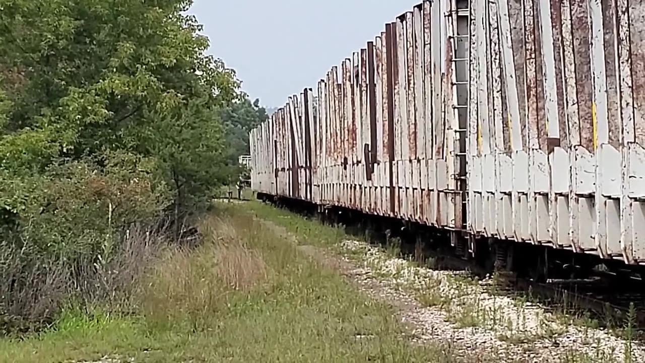 Mega Log Haulers Being Sidetracked, Plus More Sketchy Drivers!