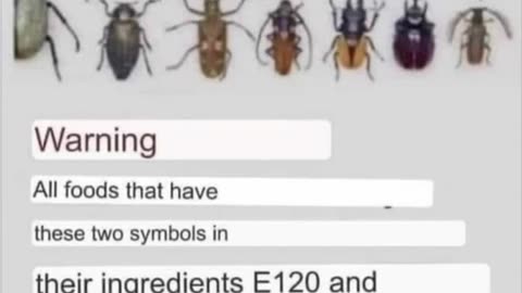 Lice and Beetles~and your Food