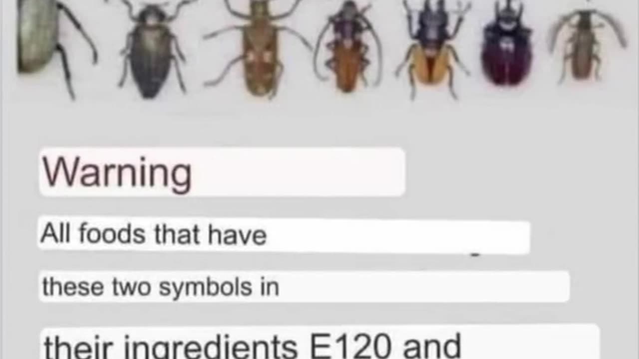 Lice and Beetles~and your Food