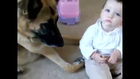 Funny child with pet