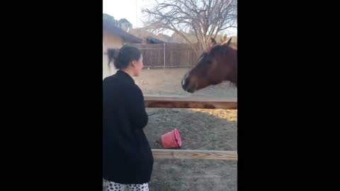 American woman switches to strong New Zealand accent after 2 weeks in coma