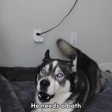 Another bath video must be coming 👀