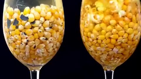 Hot ball Vs corn+water and oil