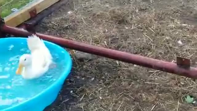 Ark of Grace...The Gangs All Together Hangin Out!!!