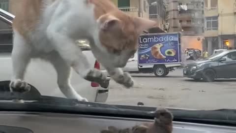 Eh, do not get it!