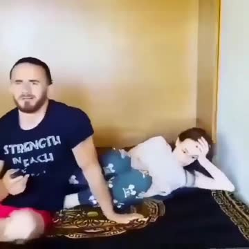 Try Not to Laugh Animals