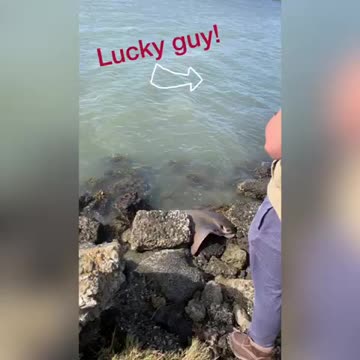 Some guy caught a Bat Ray