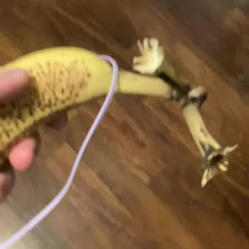 Oooo banana