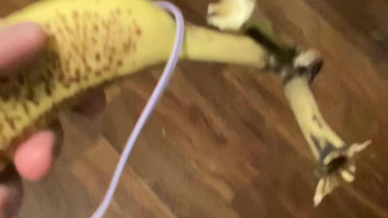 Oooo banana