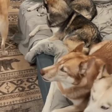 Man: Let it go🥰Ok It’s your turn.