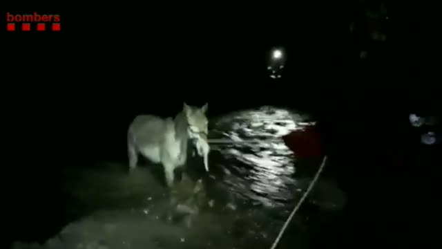 Images Of Heavily Flooded Spanish Delta In Storm Gloria-02