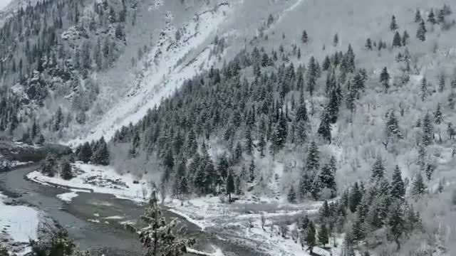 Chitkul Valley Himachal Pradesh