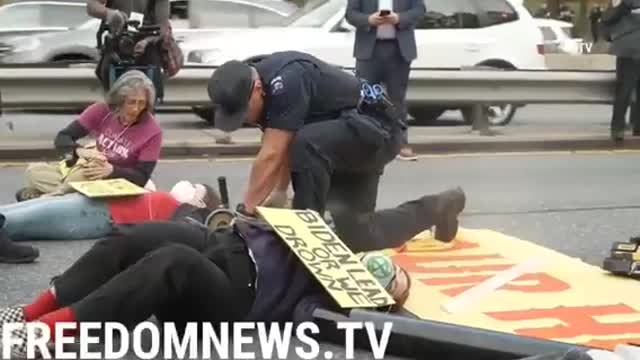 Liberal Protesters Arrested