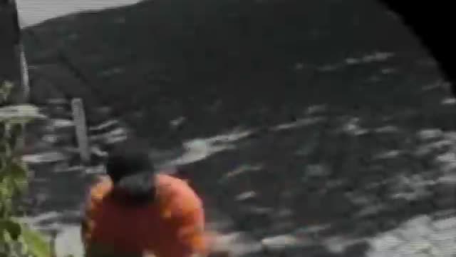 CRIMINALIDADE NO BRASIL ENTENDA A CAUSA
