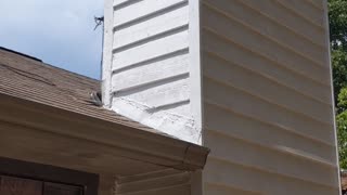 Part 4. cedar siding replacement - paint primer