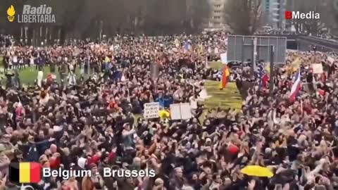 noticia PROTESTAS EN TODO EL MUNDO