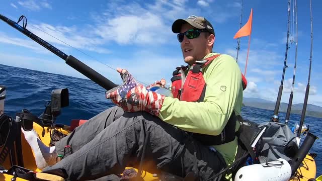 Record Marlin Pulls Kayaker Out To Sea 12 Miles