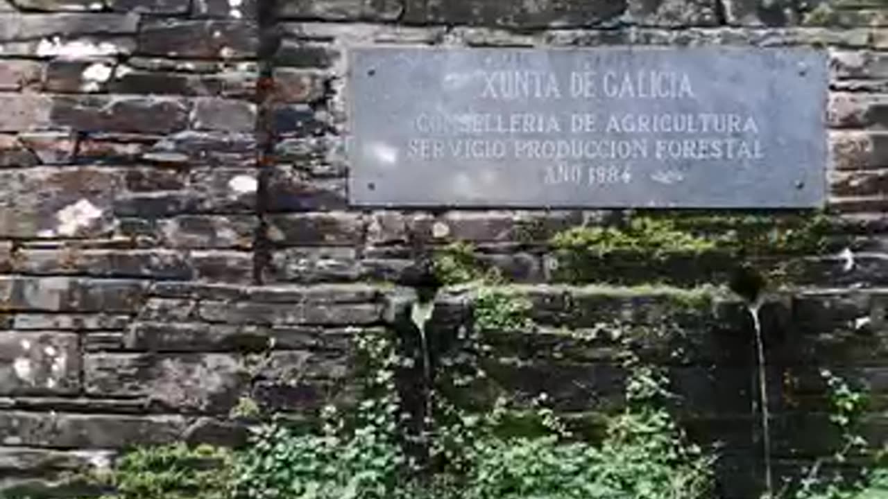 ricordo tutto,partivo per il mio primo Cammino.